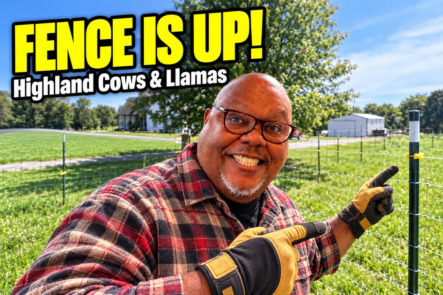 Putting Up an Electric Fence for Highland Cows and Llamas