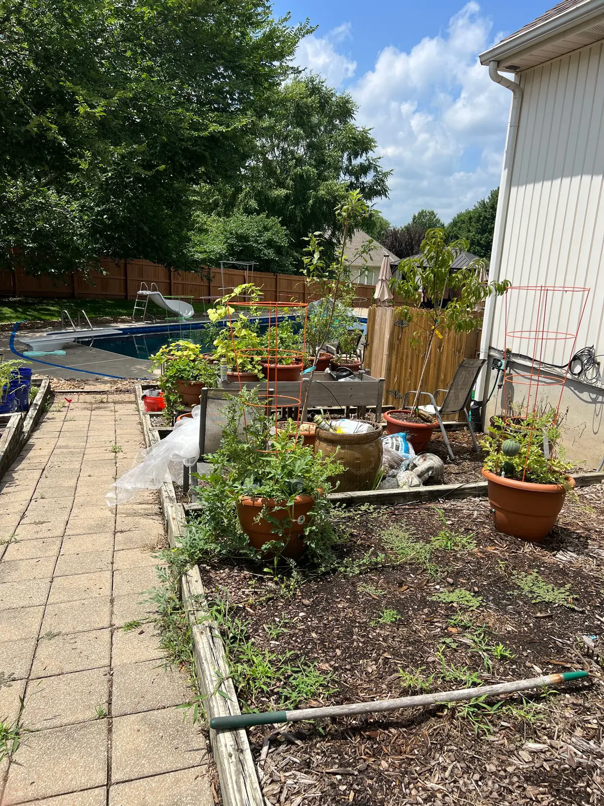 Daryl's container garden setup with raised beds, terra cotta pots, and tomato cages by the pool
