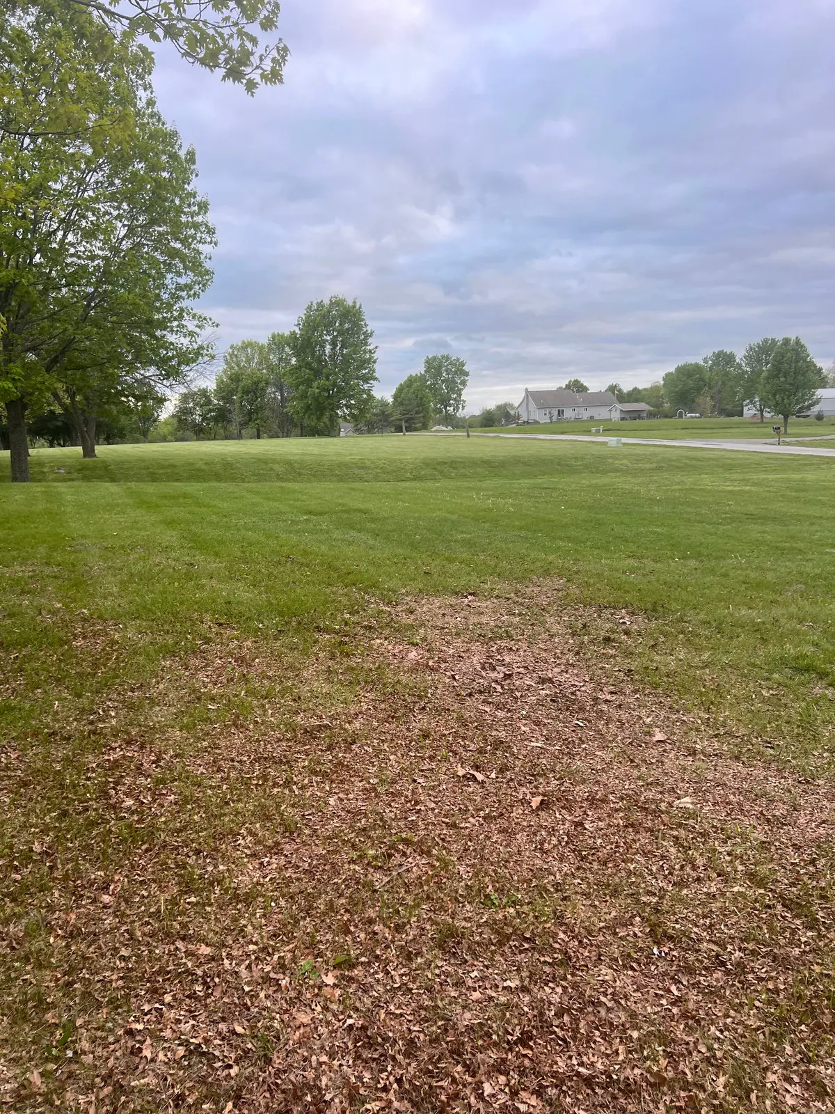 From 6,000 Sq Ft to 5 Acres: Why We're Making the Move